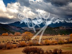 COLORADO Ridgeway